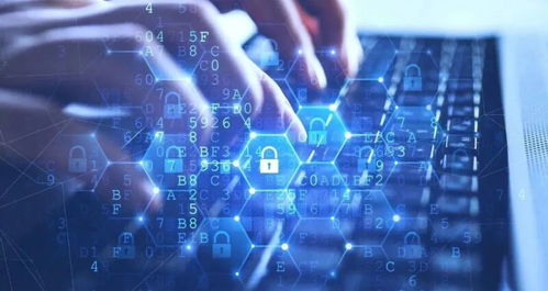 超市警惕 用戶(hù)數(shù)據(jù)泄露風(fēng)險(xiǎn)與網(wǎng)絡(luò)安全防護(hù)策略